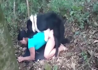 Stallion bestiality xxx